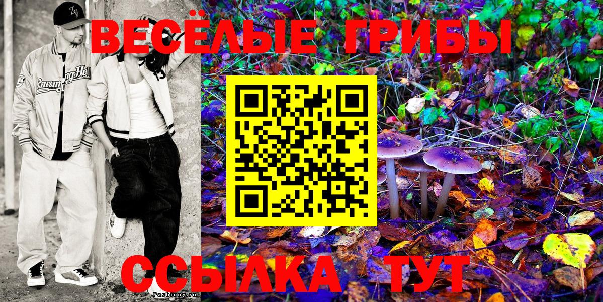 Владикавказ  Галлюциногенные грибы GOLDEN TEACHER  закладка  Вход с VPN 